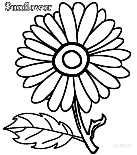 single flower coloring pages  getcoloringscom  printable