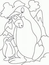 Pingwiny Kolorowanki Pingwin Dzieci sketch template