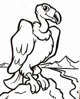 Condor Buitre Cóndor Dibujalia Andino Enfadado Toro Vulture Infantil Urubu Euamobiscuit sketch template