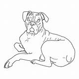 Boxer Dog Coloring Pages Puppy Lying Bowl Down Getcolorings Printable Designlooter Drawings Color Pug sketch template