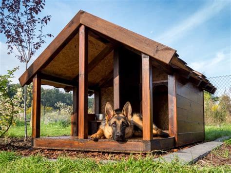heat  dog house cheap
