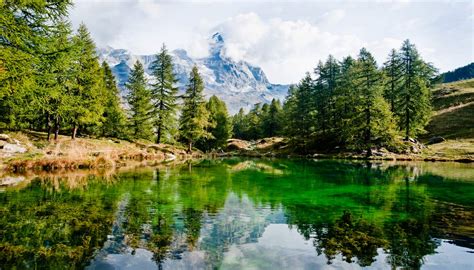 capodanno  contatto  la natura  consigli  siviaggia