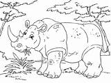 Rinoceronte Nashorn Neushoorn Kleurplaat Rhinoceros Malvorlage Feroci Afrique Stampare Toupty Kleurplaten Rhinocéros Herunterladen Schulbilder Educima sketch template