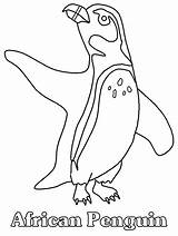 Coloring Penguin Pages Penguins Animals Printable African Cartoon Drawing Kids Clipart Book Print Animal Zoo Board Realistic Library Colouring Advertisement sketch template