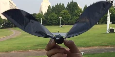 bionic bird drone   flies    bird business insider