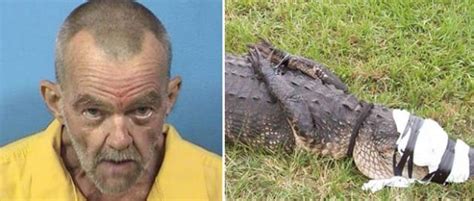 man caught having sex with alligator he kept tied up in