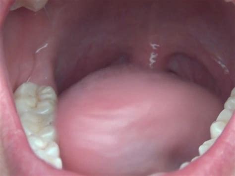 uvula and throat dancing free porn videos youporn