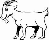 Goat Ziege Goats Cabra Ausmalbilder 2438 Ausmalbild Kostenlos Malvorlagen Sheets Webstockreview sketch template