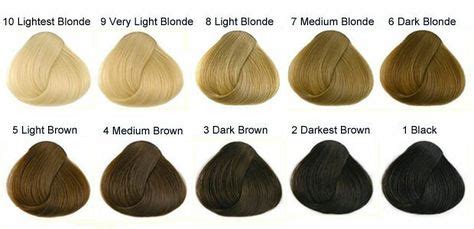 levels  hair color images hair color hair levels  hair color