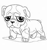 Bulldog Coloring Pages Cute French Drawing Little American Pug Face English Color Line Printable Bulldogs Sad Getcolorings Bowl Inside Happy sketch template
