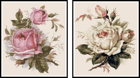 beautiful pink and white roses set cross stitch pattern