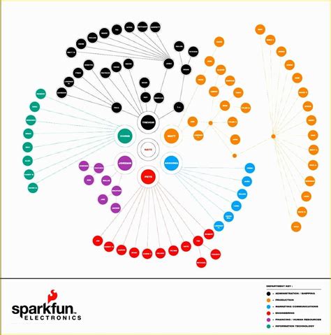 Free Circular Organizational Chart Template Of 8 Organization Flow