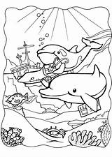 Coloring Dolphins Large sketch template