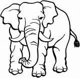 Elephant Coloring Pages Elephants African Angry Animals Drawing Line Kids Safari Print Clipart Children Clipartmag Coloringsky sketch template
