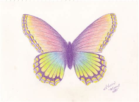 butterfly pencil drawing  getdrawings