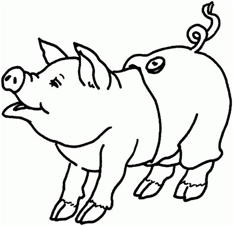 printable pig coloring pages  kids