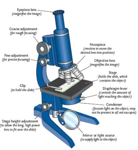 microscope parts diagram clipart