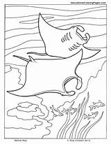 Coloring Pages Ocean Sea Printable Kids Ray Stingray Manta Colouring Book Seashore Life Animal Cuttlefish Clipart Color Animals Sheets Getcolorings sketch template