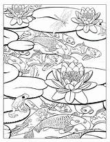 Coloring Pond Koi Pages Waterfall Colouring Fish Drawing Ponds Adults Adult Printable Book Template Color Sketch Advanced Getdrawings Lotus Getcolorings sketch template