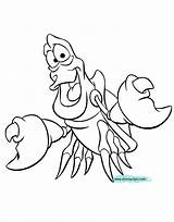 Flounder Ariel Coloringhome Sheets Sebastians Confident sketch template