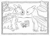 Dragon Train Coloring Pages Dragons Fury Night sketch template