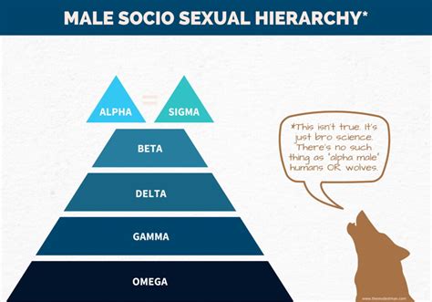 Male Hierarchy Explained Is This Just Bro Science