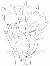 Tulips Stamp sketch template