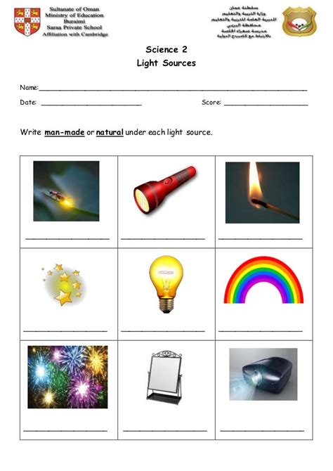 science year  light worksheet science year  light worksheet