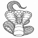 Coloring Cobra Snake Pages King Drawing Deadly Realistic Attack Ninjago Kai Color Rattlesnake Serpentine Printable Viper Head Animal Kids Diamondback sketch template