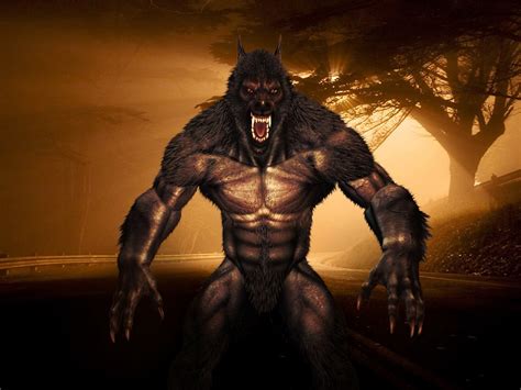 loup garou adalwolf werewolf royalty  stock illustration image pixabay