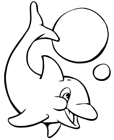 baby dolphin coloring page  print  color