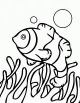 Coral Reef Coloring Pages Great Barrier Fish Drawing Kids Color Print Printable Getdrawings Popular Nature sketch template