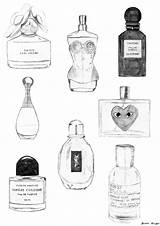 Perfumes Fragancias Fragrances Tessennliz sketch template