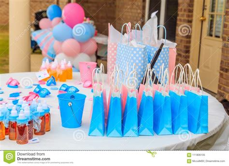 Outdoor Pink And Blue Gender Reveal Party Decoration