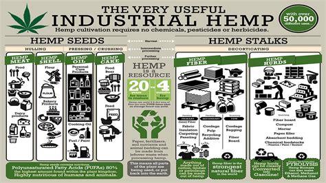 industrial hemp solutions youtube