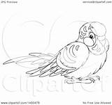 Budgie Pages Coloring Getdrawings Parakeet sketch template