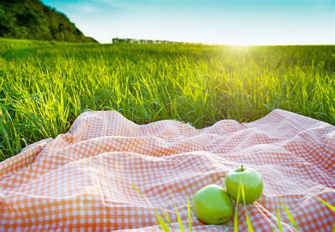 Top 10 Health Benefits Of Going On A Picnic