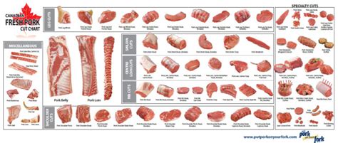 cut chart handout ontario pork retailer resources