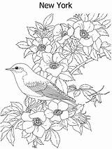 Coloring Pages Bird Flower State Difficult Printable Color York Flowers Hard Colouring Birds Adult Print Animal Kidzone Ws Kids Drawings sketch template