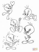 Titti Titi Coloriage Tweety Kolorowanki Tunes Looney Melodie Zwariowane Kolorowanka Gifgratis Stampare Dzieci Prend Ton sketch template