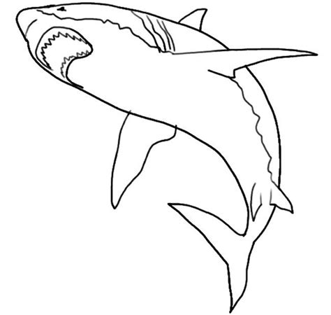 premium templates shark coloring pages animal templates
