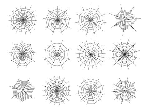 premium vector set  outline spider webs