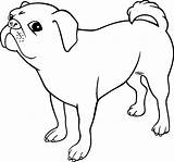 Berner Sennen Hond Duizenden Krijg Charmante sketch template