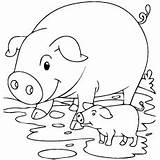 Pig Mud Coloring Pages Printable Piglet Pigs Color Top 28kb 230px sketch template