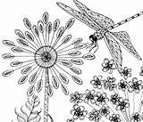 Coloring Dragonfly 101coloring sketch template