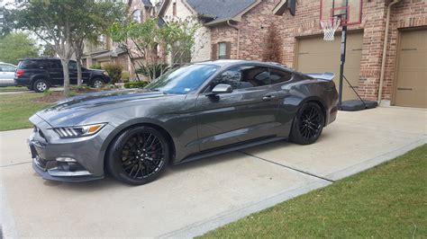 ford mustang hd  ford mustang gt forum