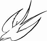 Golondrina Colorear Volando Swallow Coloring sketch template