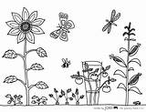 Coloring Garden Vegetable Sheet Pages Printable Flower Drawing Joel Colouring Sheets Gardens Made Kids Madebyjoel Print Color Gardening Vegetables Para sketch template