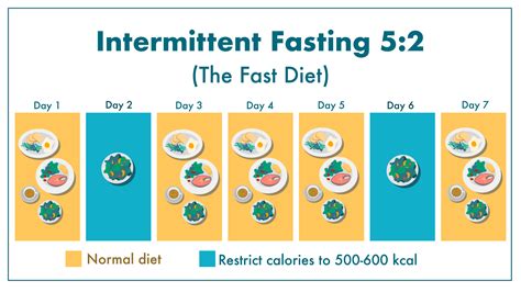 intermittent fasting  productivity  anti aging hack fresh  lean