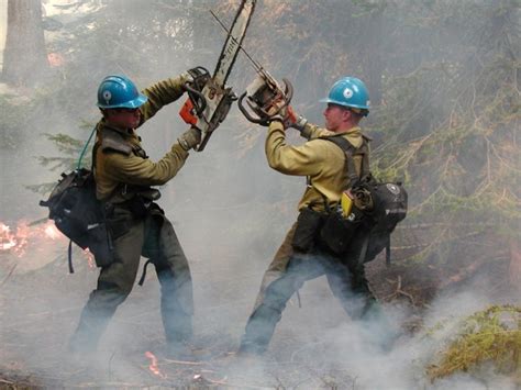 hotshot firefighter  job   wildland hubpages